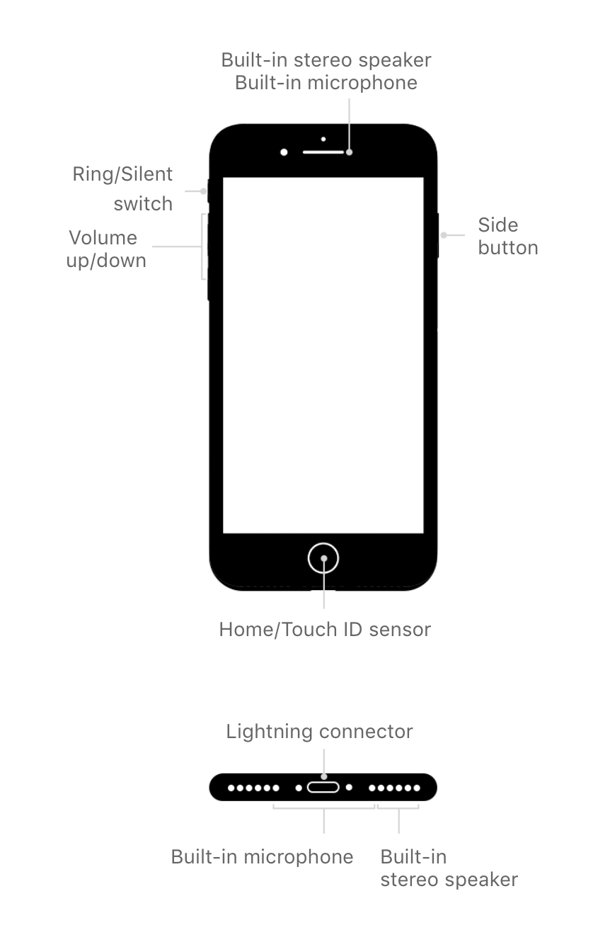 iPhone 7: External Buttons and Connections